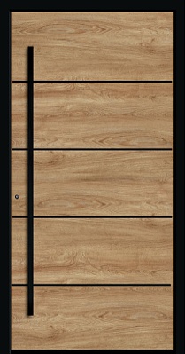 Haustür Modell BE4